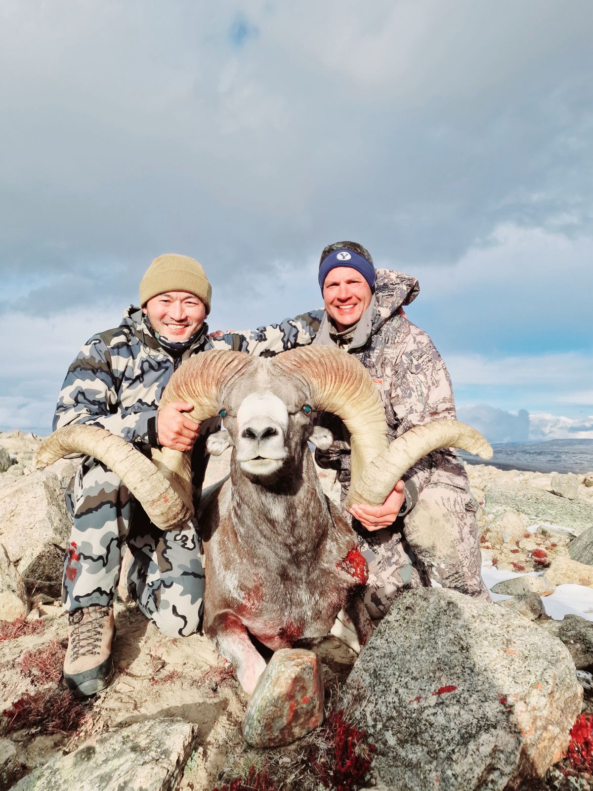 How to Pick Your First Sheep Hunt